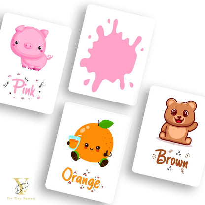 Doodle'S Flash Cards Collection - Colours & Shapes - Tinycubs - 