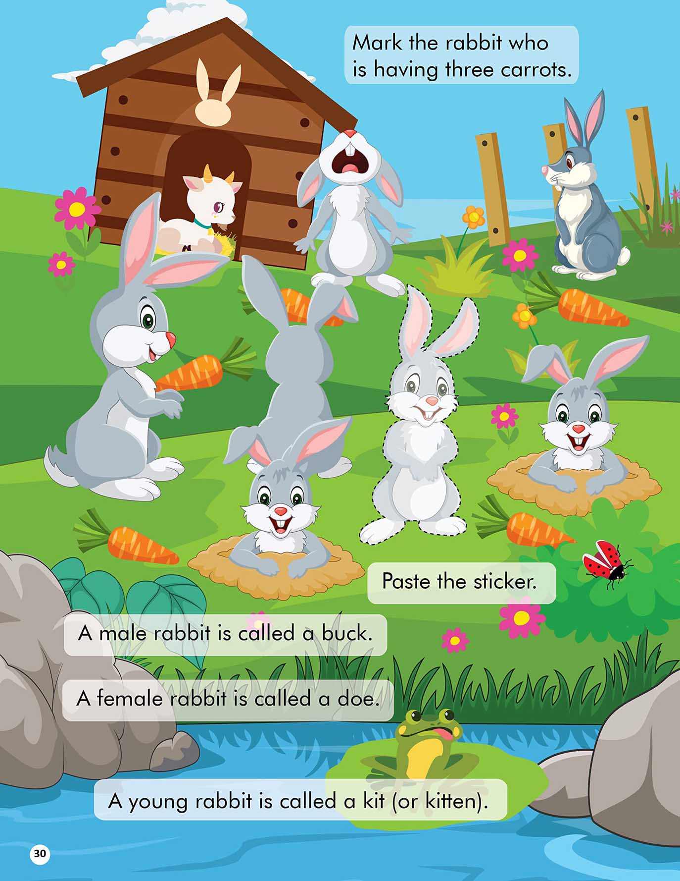 Explore the Farm Activity Book with Stickers and 3D Models - Tinycubs - 