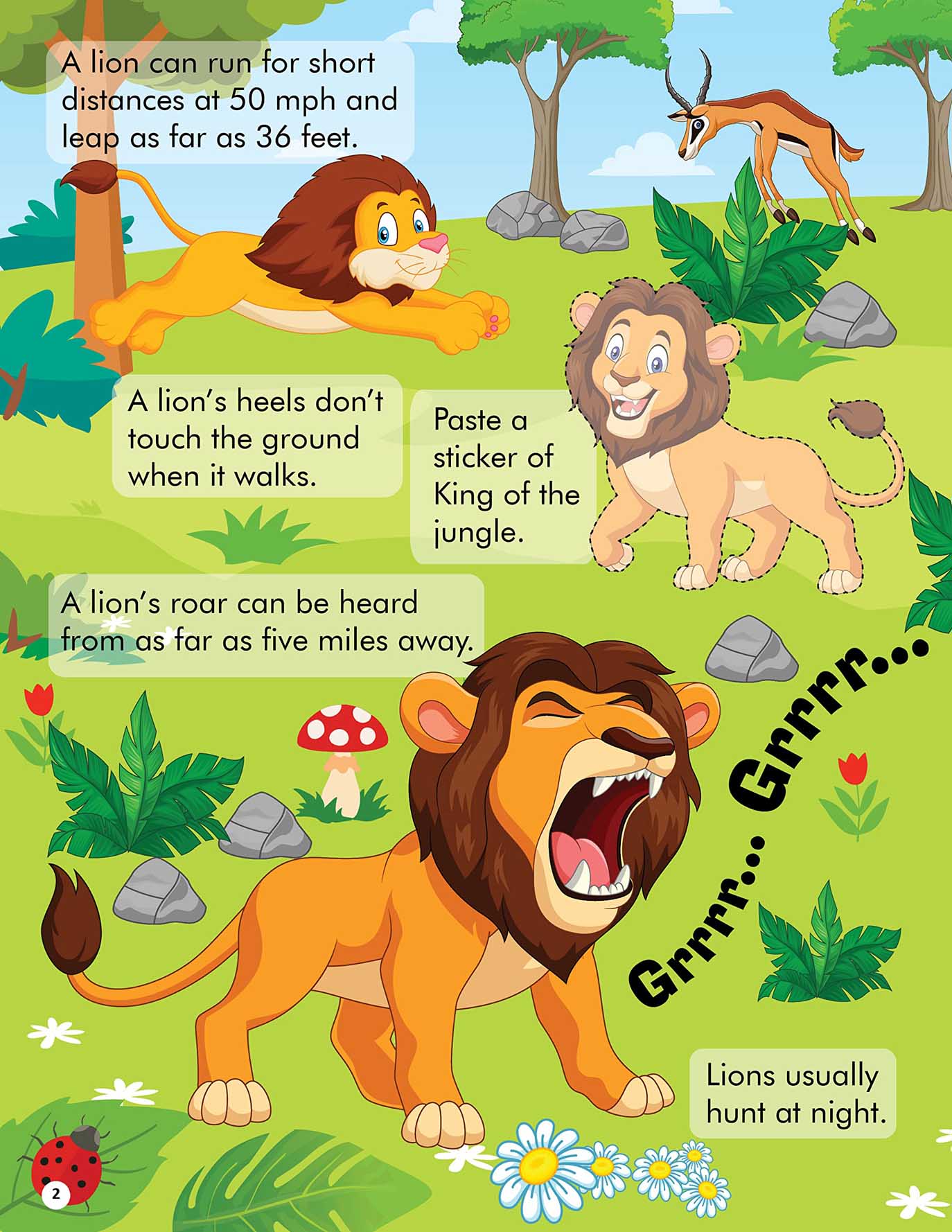 Explore the Jungle Activity Book with Stickers and 3D Models - Tinycubs - 