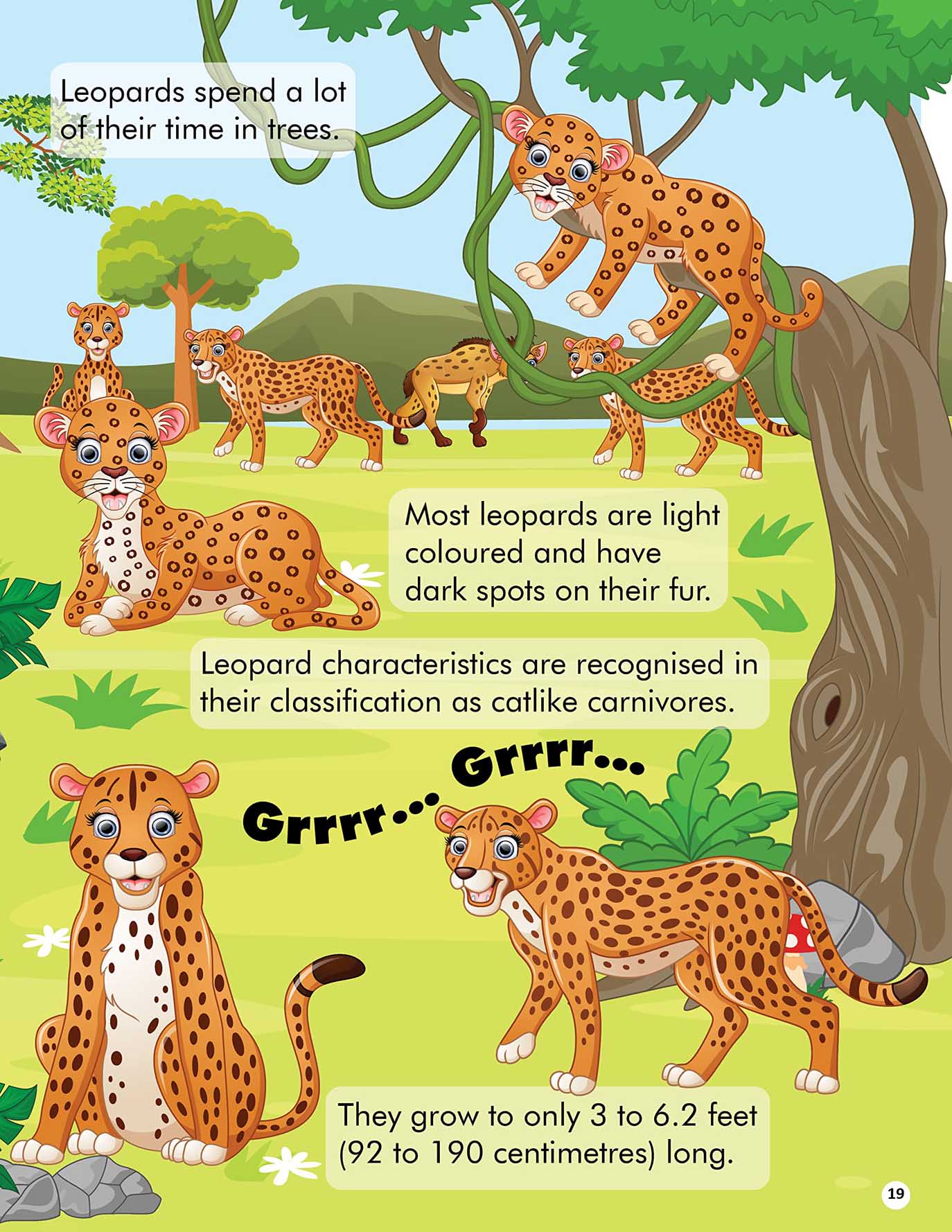 Explore the Jungle Activity Book with Stickers and 3D Models - Tinycubs - 