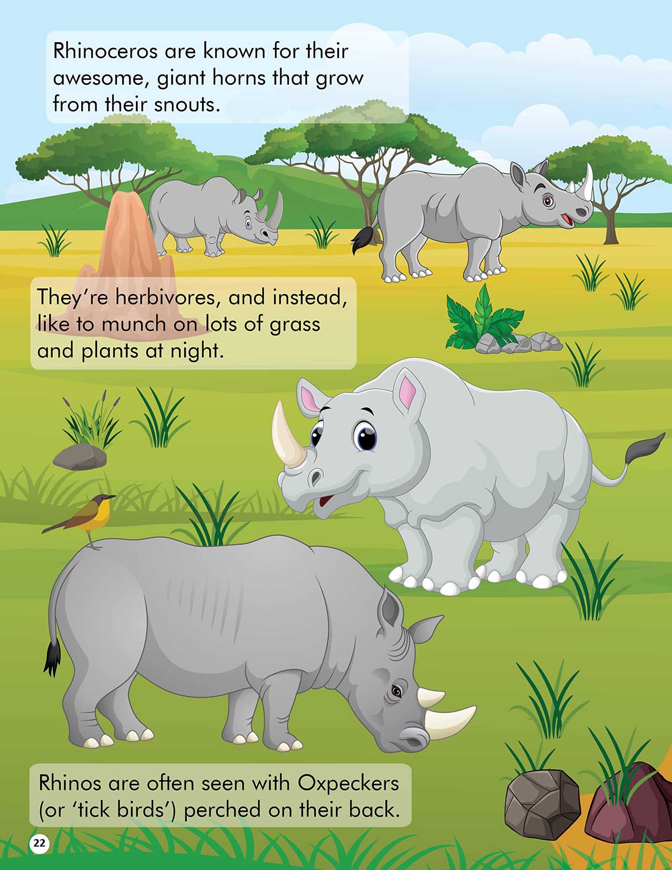 Explore the Jungle Activity Book with Stickers and 3D Models - Tinycubs - 
