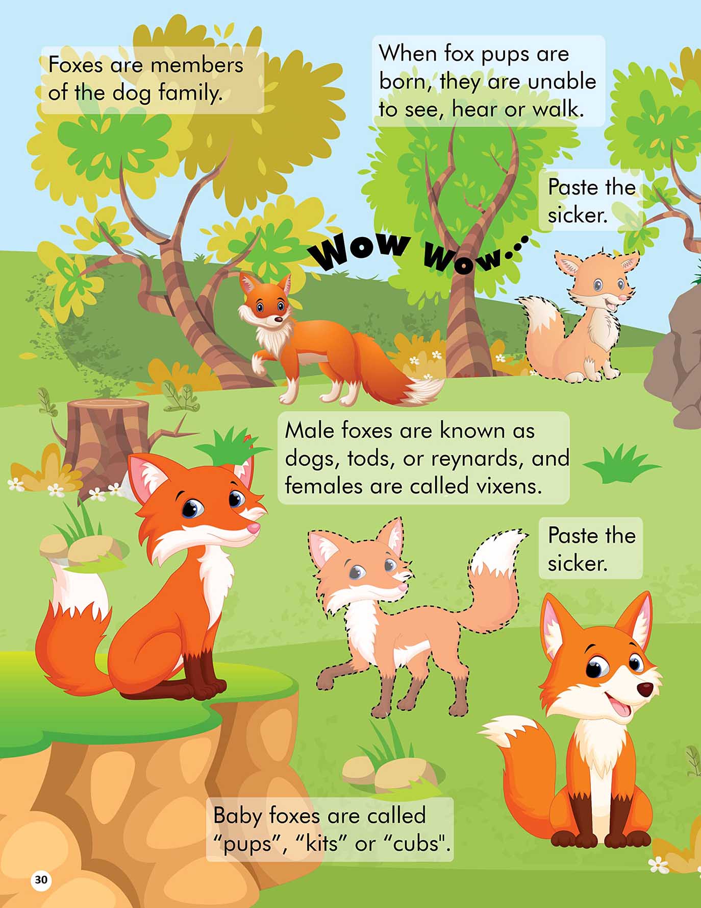 Explore the Jungle Activity Book with Stickers and 3D Models - Tinycubs - 