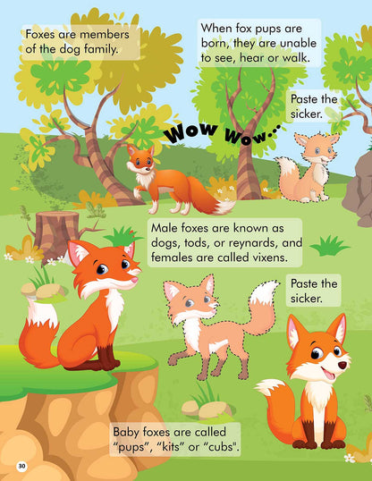 Explore the Jungle Activity Book with Stickers and 3D Models - Tinycubs - 