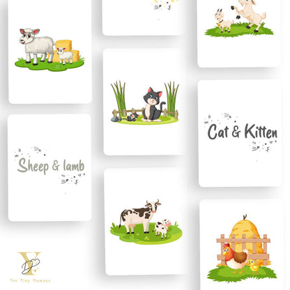 Farm Animals Flash Cards & Diwali Bodysuit Gift Set - Tinycubs - 