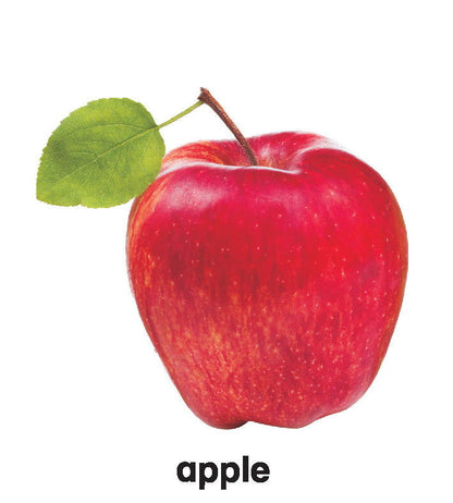 First Padded Board Book - Fruit - Tinycubs - 