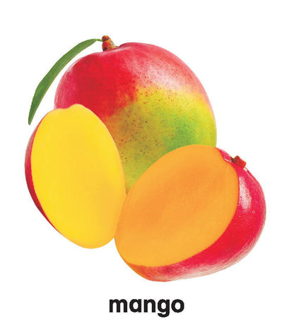 First Padded Board Book - Fruit - Tinycubs - 