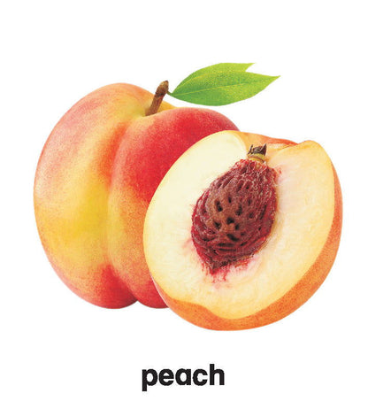 First Padded Board Book - Fruit - Tinycubs - 