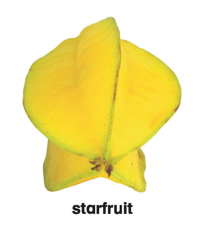 First Padded Board Book - Fruit - Tinycubs - 