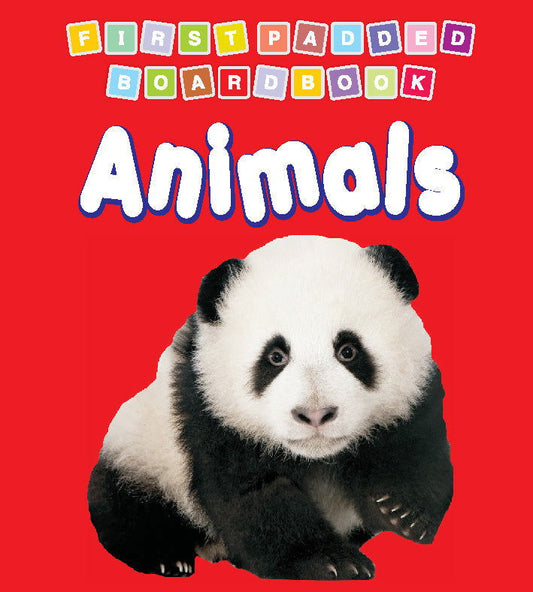 First Padded Board Book - Numbers - Tinycubs - 