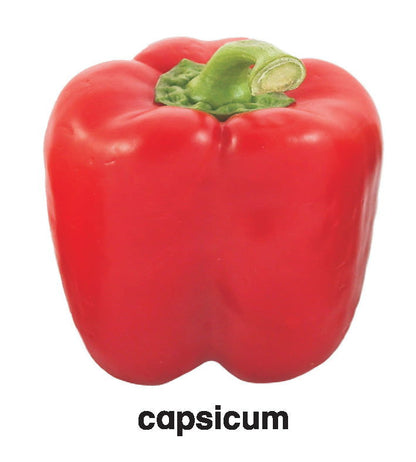First Padded Board Book - Vegetables - Tinycubs - 