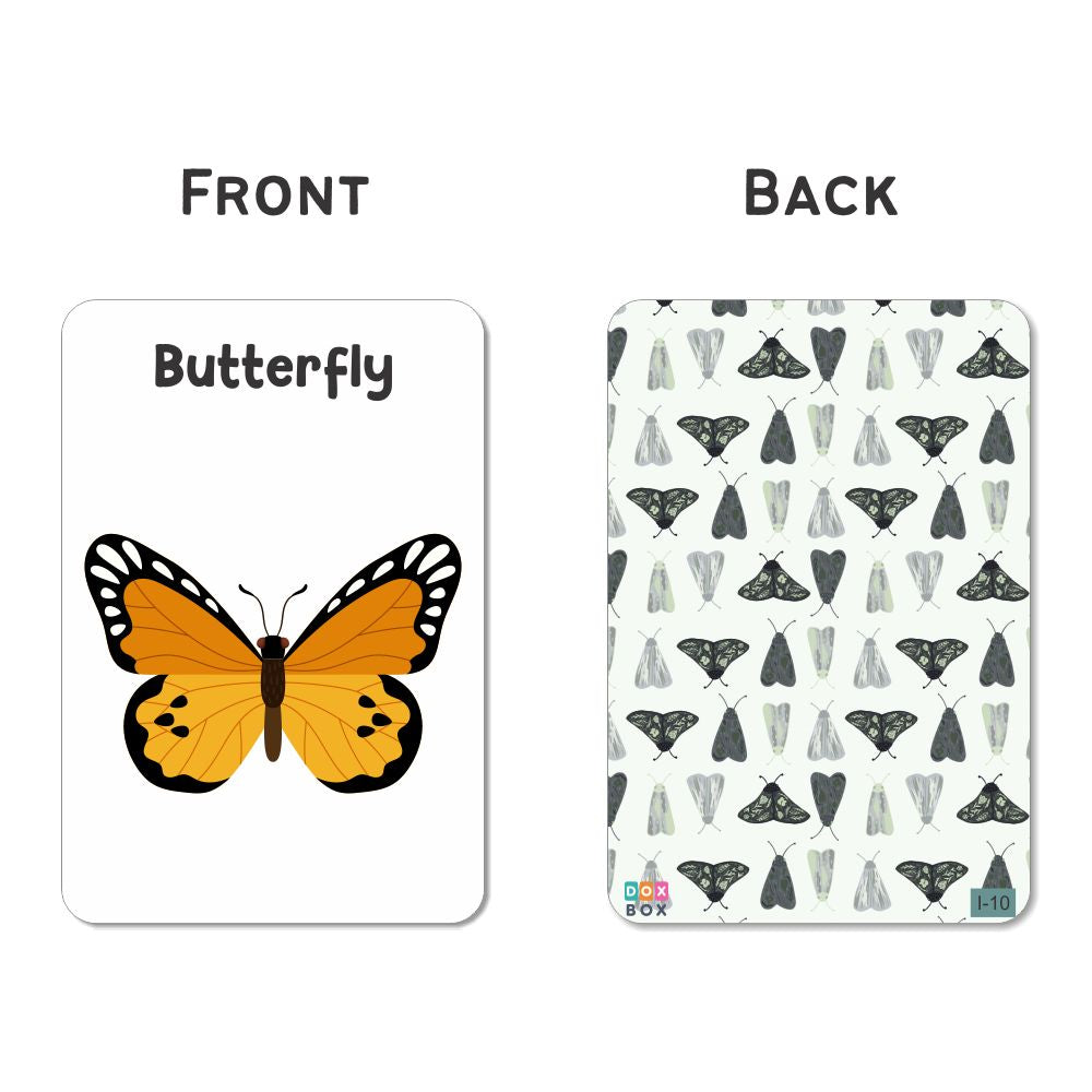Insect Flash Cards- Pack of 24 - Tinycubs - 