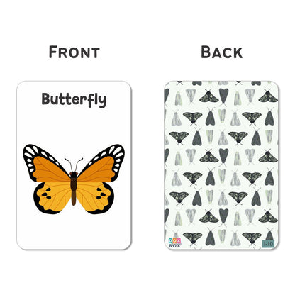Insect Flash Cards- Pack of 24 - Tinycubs - 