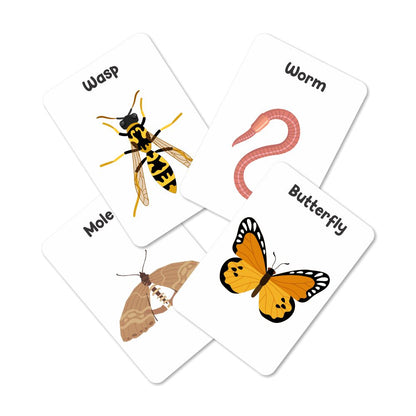 Insect Flash Cards- Pack of 24 - Tinycubs - 