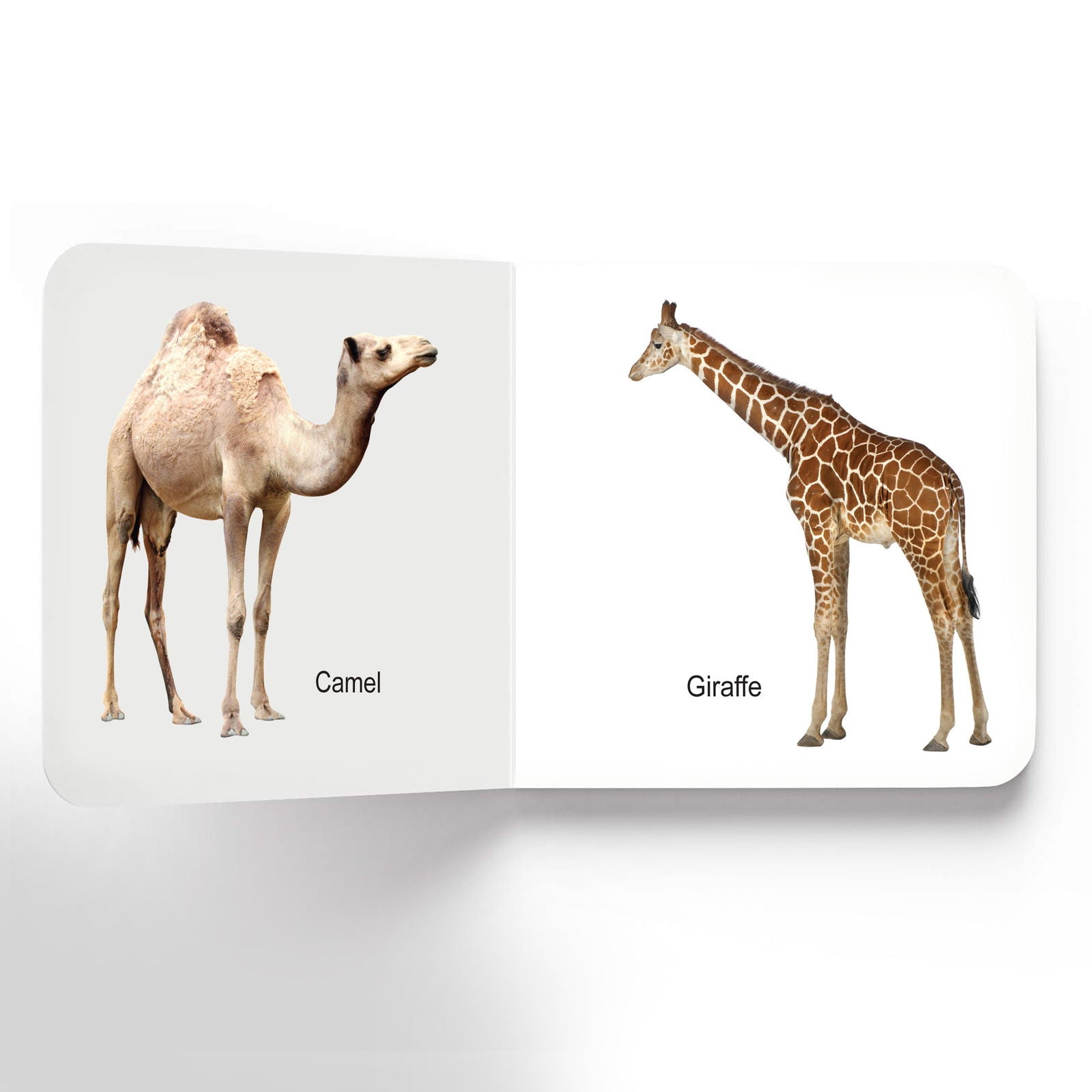 Lovely Board Books - Animals - Tinycubs - 