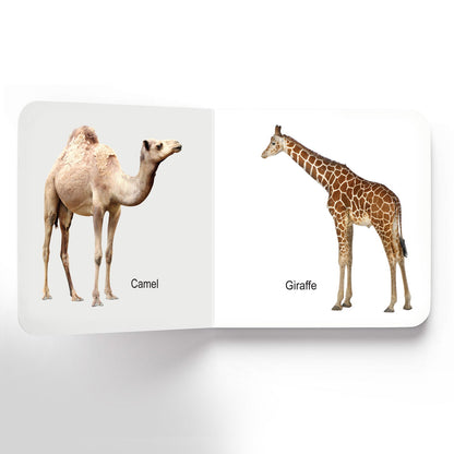 Lovely Board Books - Animals - Tinycubs - 