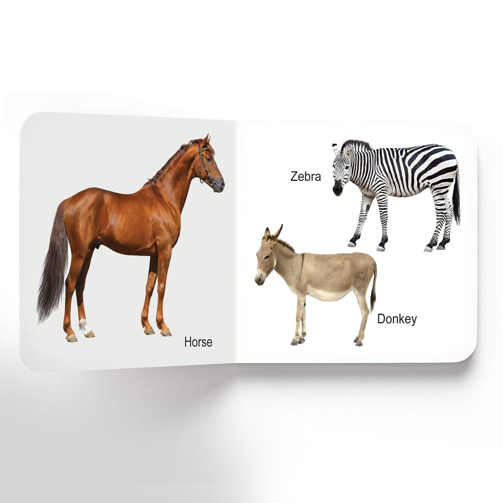 Lovely Board Books - Animals - Tinycubs - 