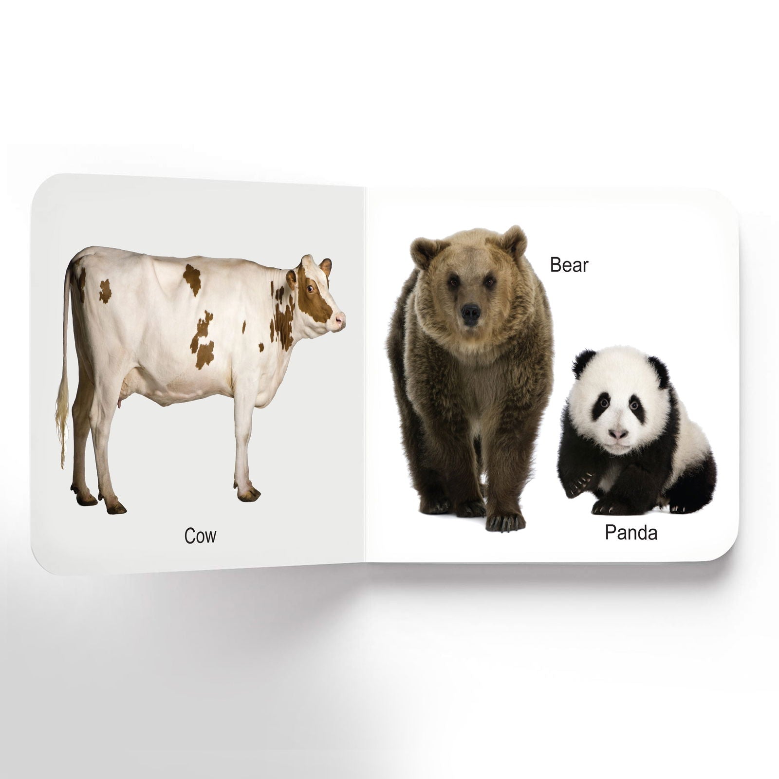 Lovely Board Books - Animals - Tinycubs - 