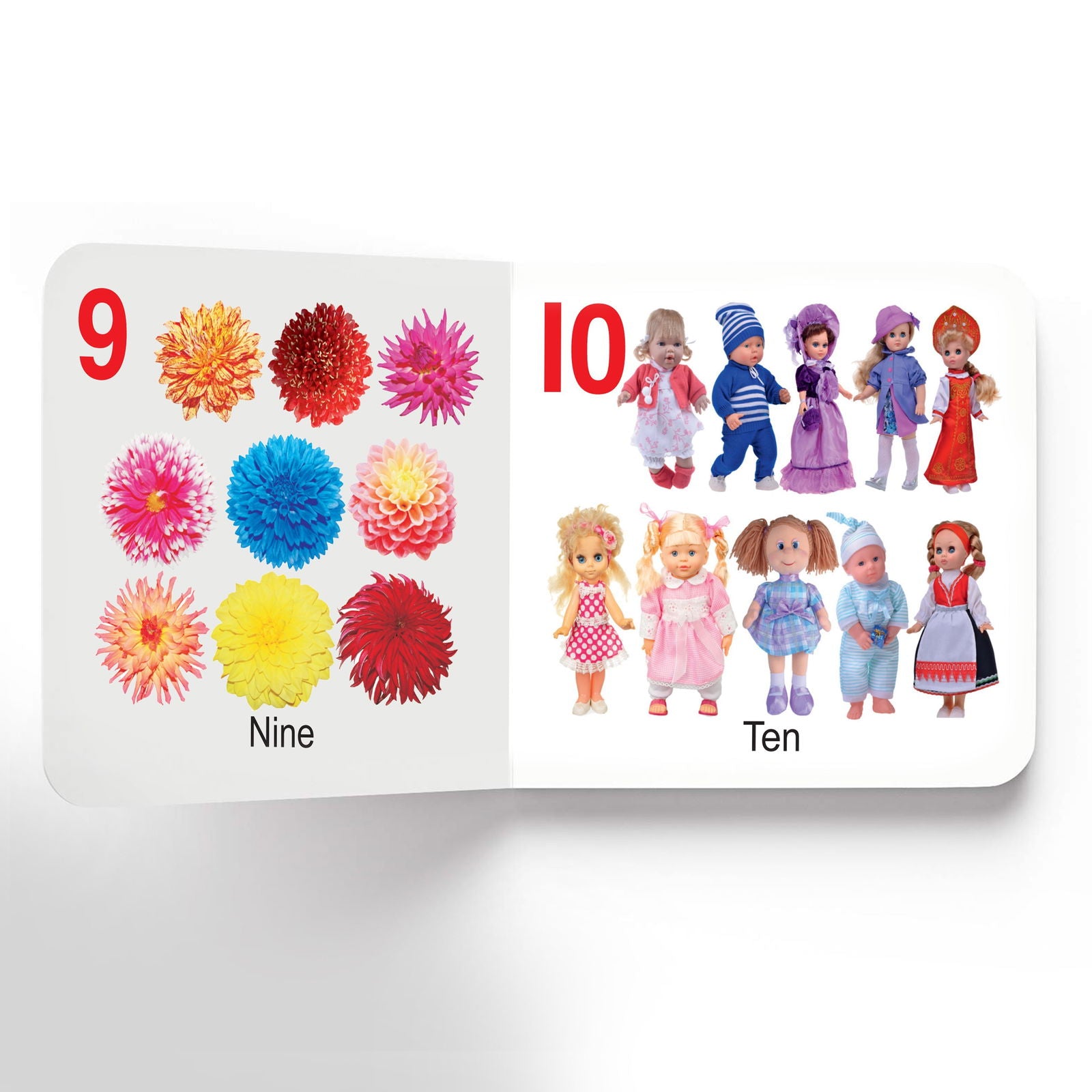 Lovely Board Books - Numbers - Tinycubs - 