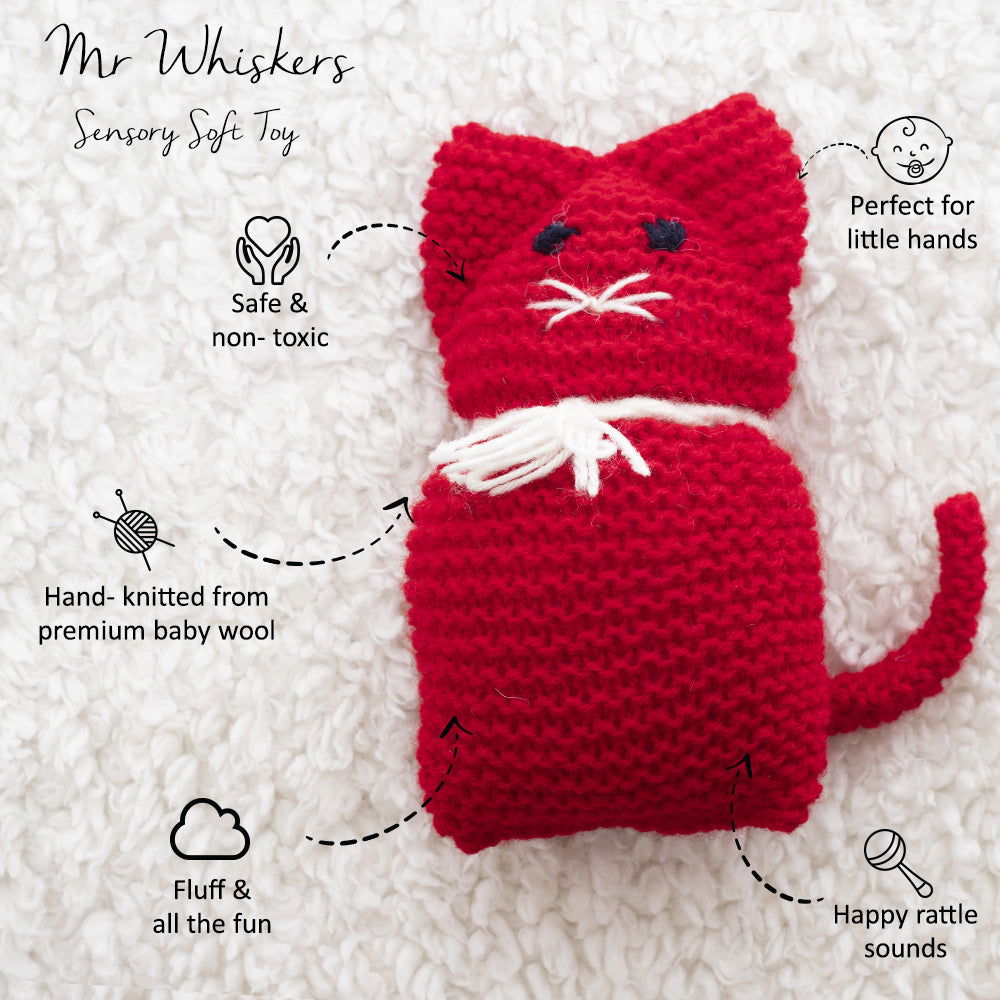 Mr Whiskers, The Cat Sensory Soft Toy - Tinycubs - 