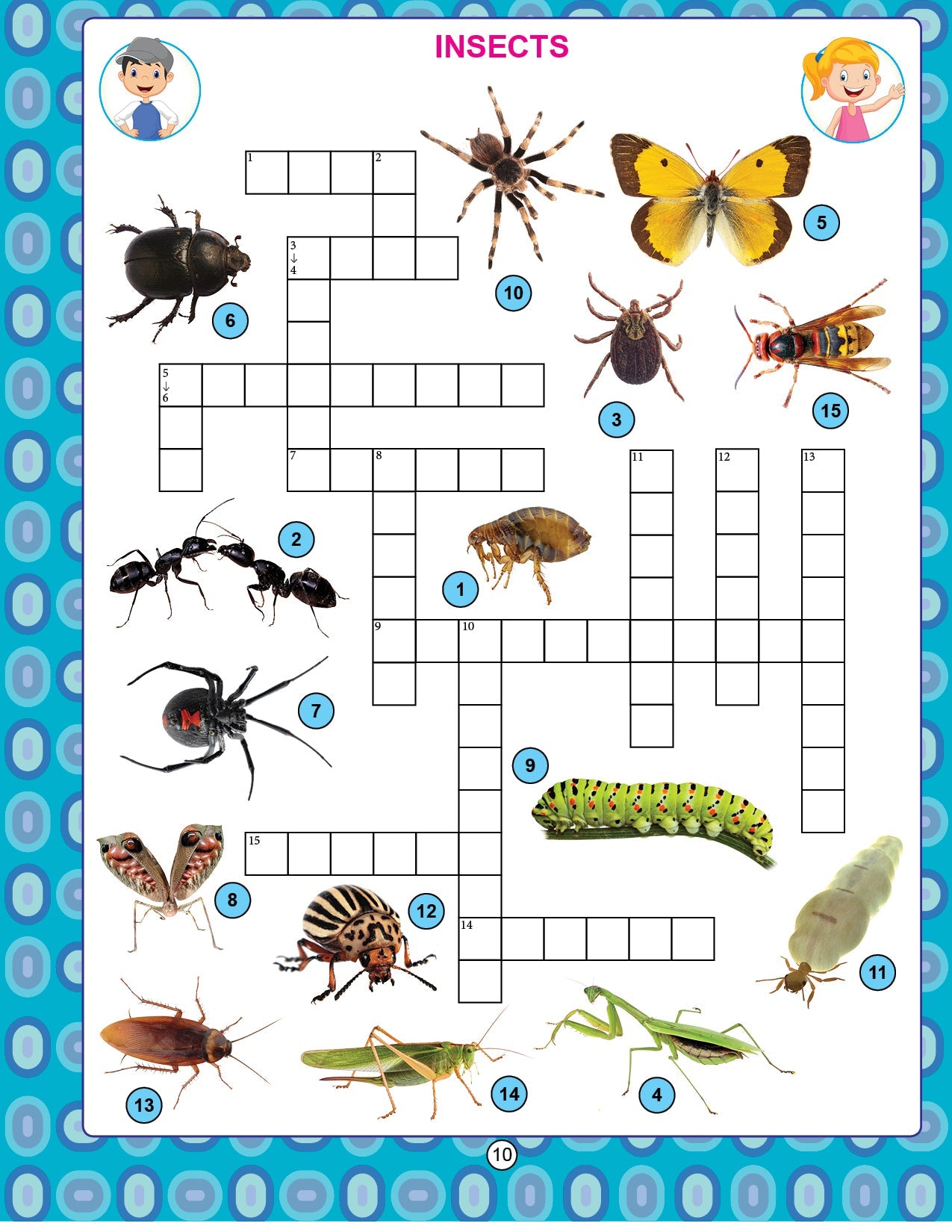 My Activity- Crossword Activity Book - Tinycubs - 