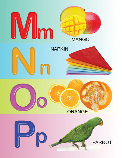 My First All in One Board Book - Tinycubs - 