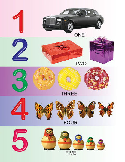 My First All in One Board Book - Tinycubs - 