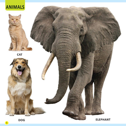 My First Library Animals and Birds - Tinycubs - 