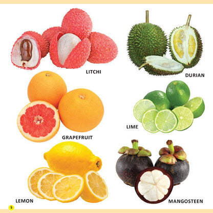 My First Library Fruits and Vegetables - Tinycubs - 