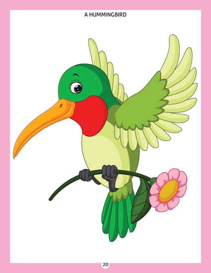 My New  Colouring Book - 2 - Tinycubs - 
