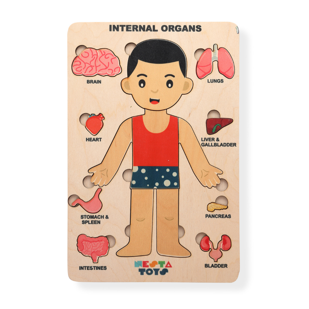 NESTA TOYS - Human Anatomy Puzzle | Internal Organs Puzzle - Tinycubs - 