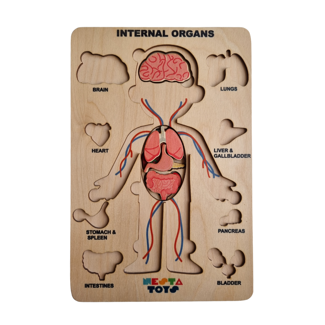 NESTA TOYS - Human Anatomy Puzzle | Internal Organs Puzzle - Tinycubs - 