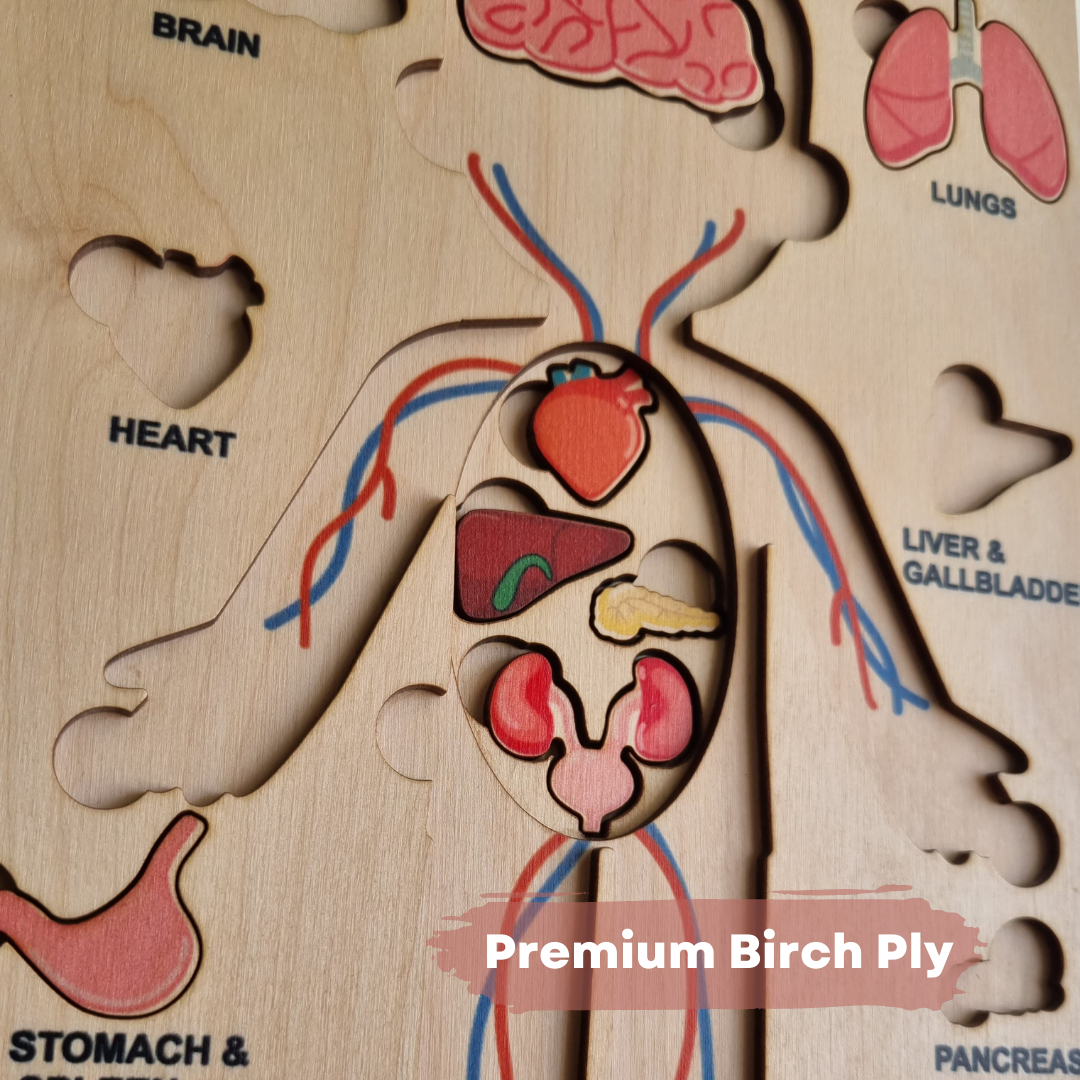 NESTA TOYS - Human Anatomy Puzzle | Internal Organs Puzzle - Tinycubs - 