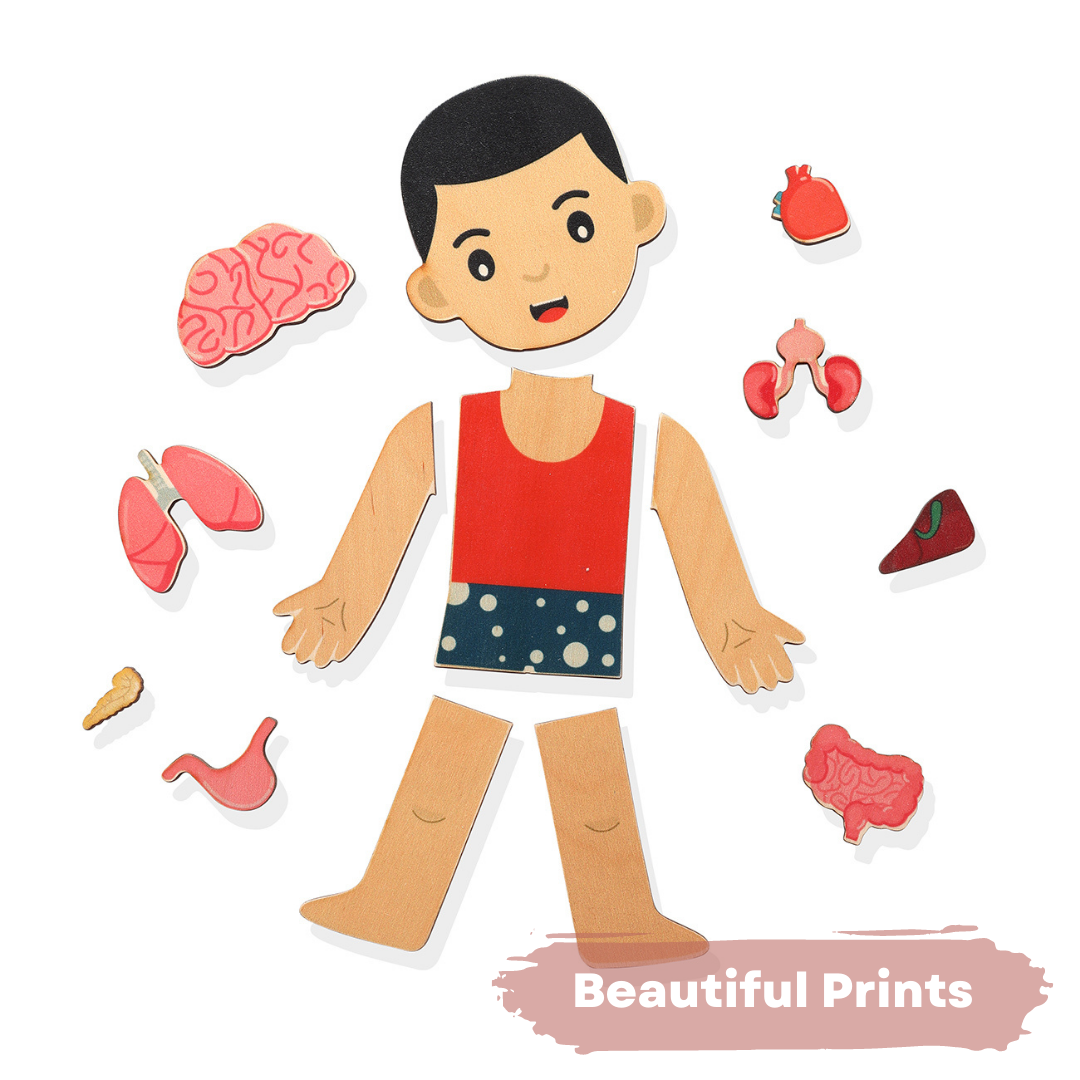 NESTA TOYS - Human Anatomy Puzzle | Internal Organs Puzzle - Tinycubs - 