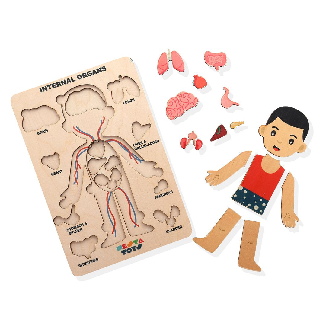 NESTA TOYS - Human Anatomy Puzzle | Internal Organs Puzzle - Tinycubs - 