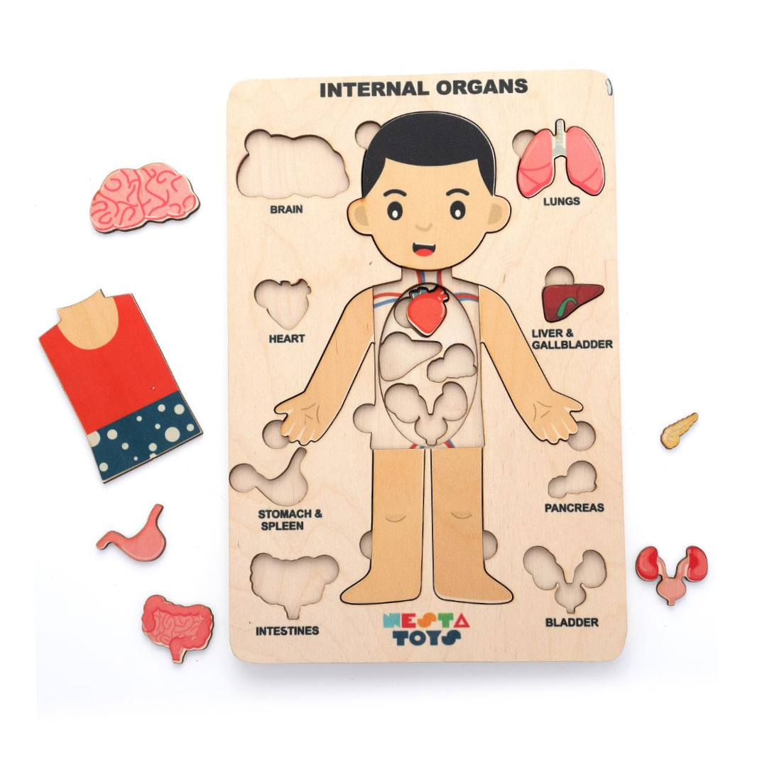 NESTA TOYS - Human Anatomy Puzzle | Internal Organs Puzzle - Tinycubs - 