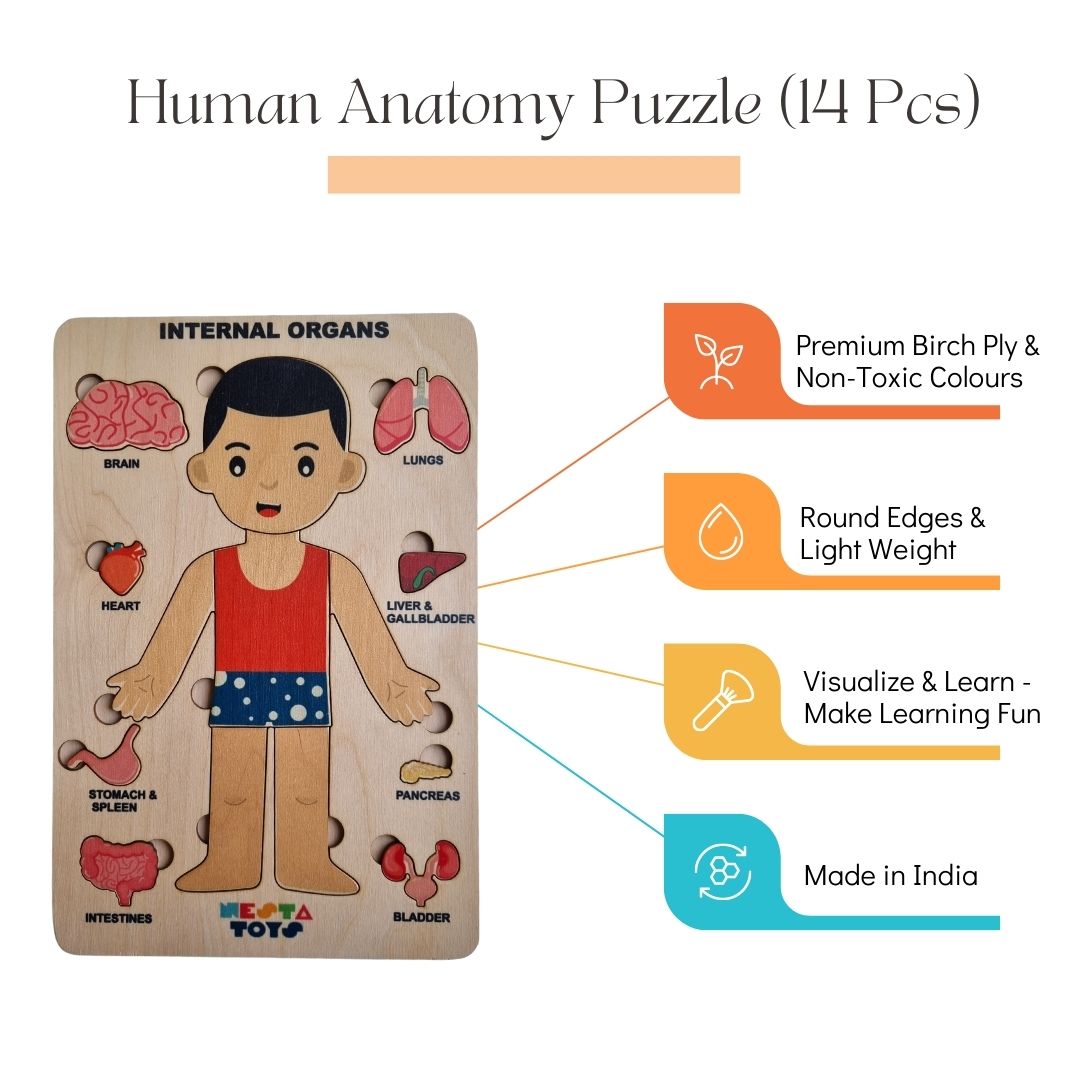NESTA TOYS - Human Anatomy Puzzle | Internal Organs Puzzle - Tinycubs - 