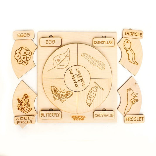 NESTA TOYS - Montessori Life Cycle Puzzle | DIY Coloring Activity (36 Pieces) - Frog, Plant, Chicken & Butterfly - Tinycubs - 