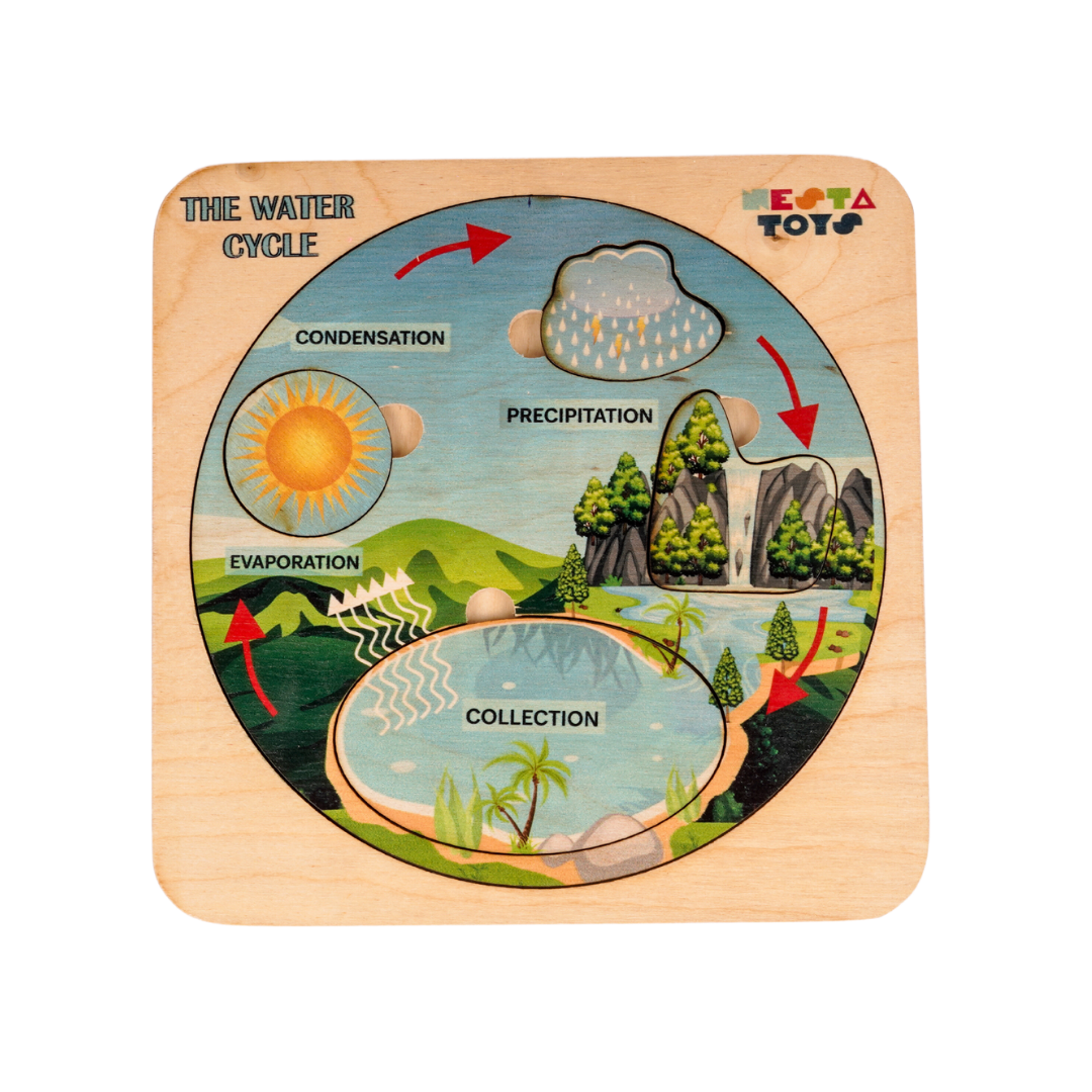 NESTA TOYS - Montessori Wooden Water Cycle Puzzle | Educational STEM Learning Toy - Tinycubs - 