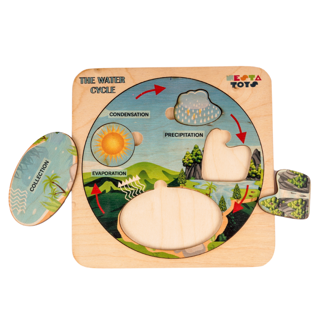 NESTA TOYS - Montessori Wooden Water Cycle Puzzle | Educational STEM Learning Toy - Tinycubs - 