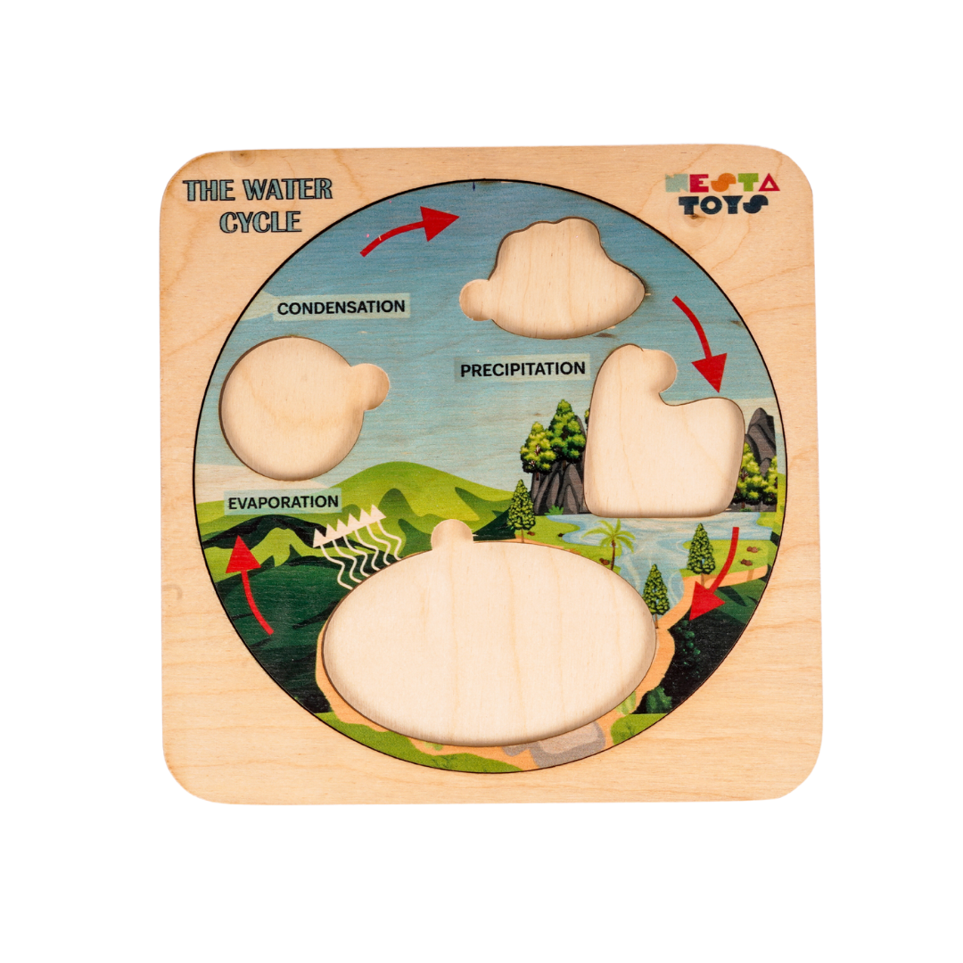 NESTA TOYS - Montessori Wooden Water Cycle Puzzle | Educational STEM Learning Toy - Tinycubs - 