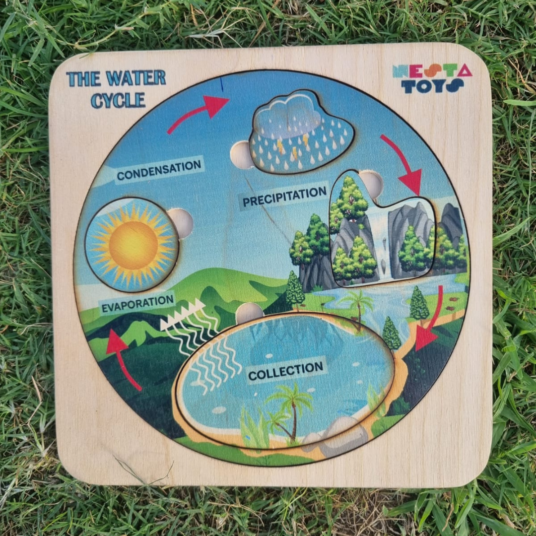 NESTA TOYS - Montessori Wooden Water Cycle Puzzle | Educational STEM Learning Toy - Tinycubs - 