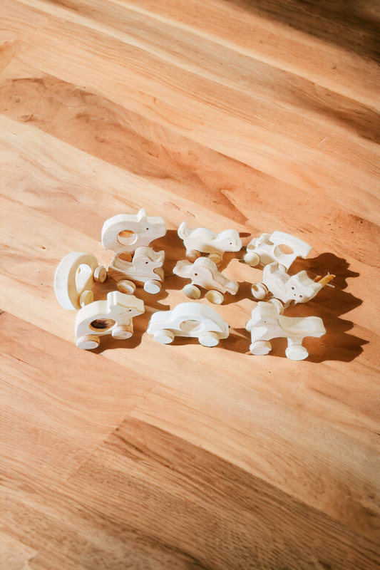 Pack of 10 Beautiful Push & Pull Toys for Toddlers - Made from Sustainable Neem Wood - Tinycubs - 
