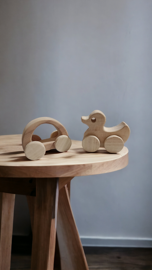 Pack of 2 Elegant Wheel Toys - Hallow Car & Duck Shapes - Tinycubs - 