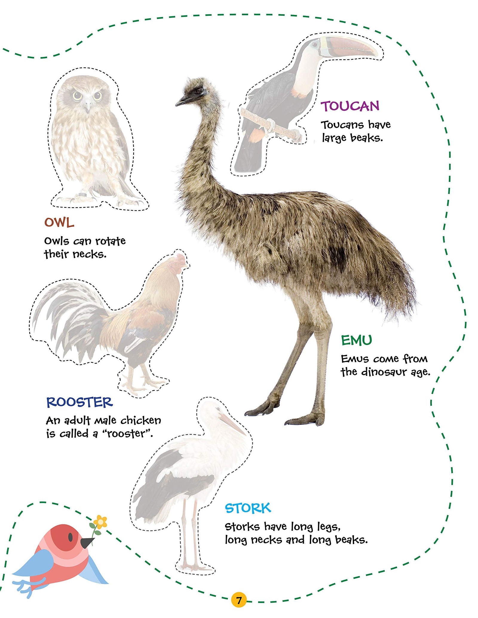 Play With Sticker - Birds - Tinycubs - 