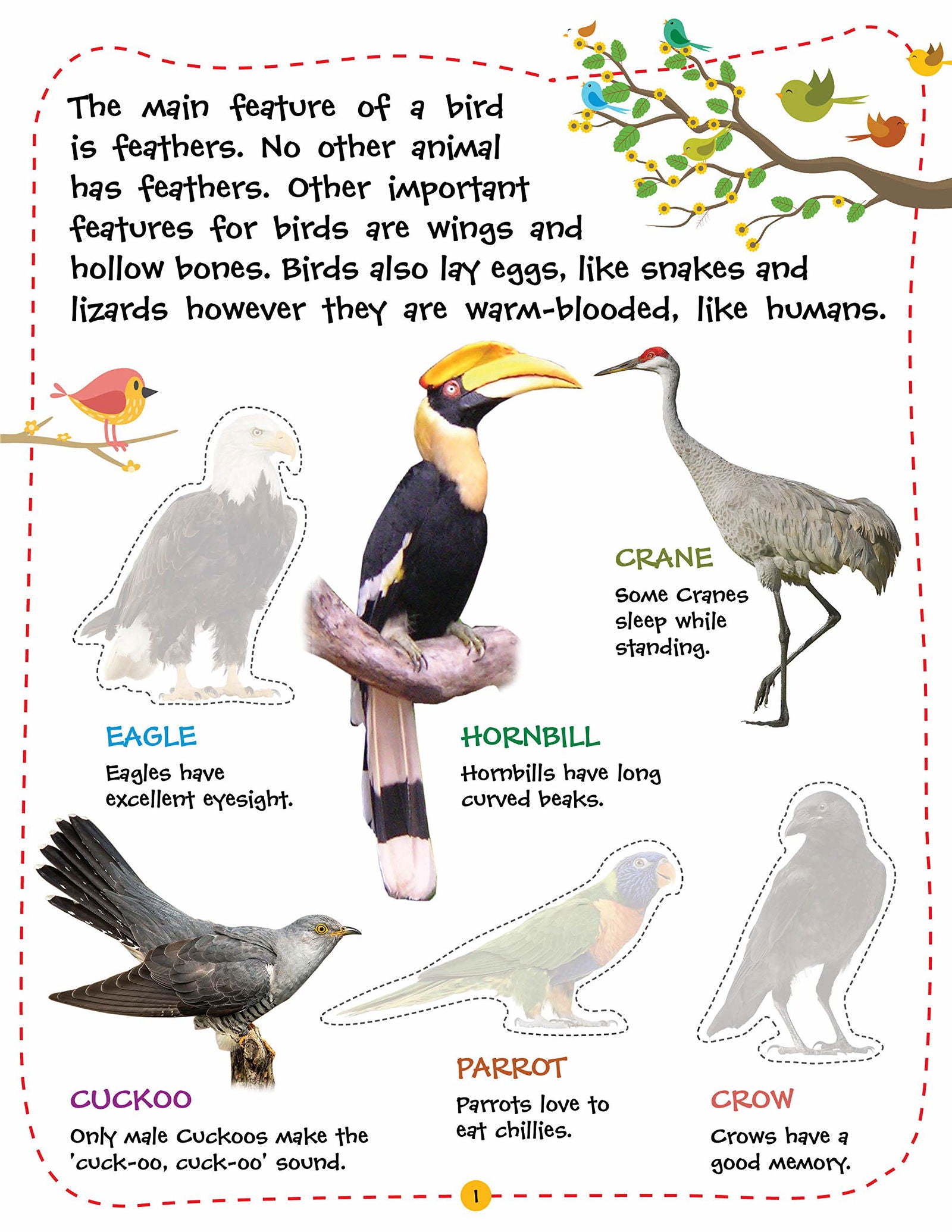 Play With Sticker - Birds - Tinycubs - 