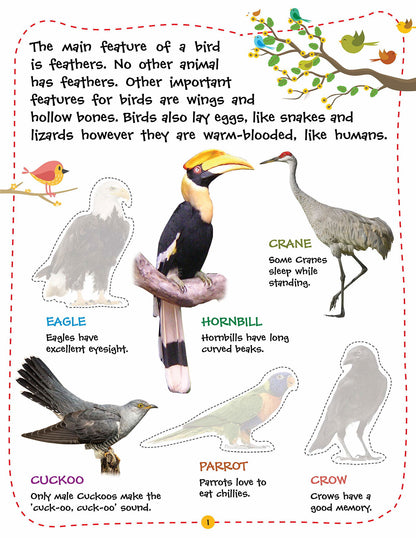 Play With Sticker - Birds - Tinycubs - 