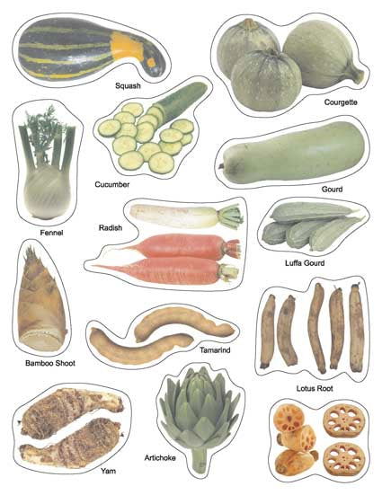 Play With Sticker - Vegetables - Tinycubs - 
