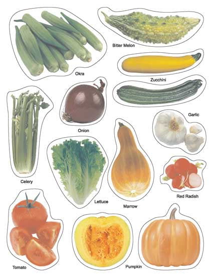 Play With Sticker - Vegetables - Tinycubs - 