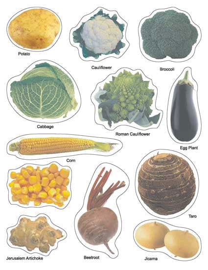 Play With Sticker - Vegetables - Tinycubs - 