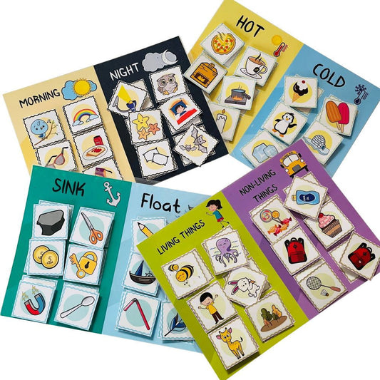 Simple Science Sorting activity (4 in 1) - Tinycubs - 